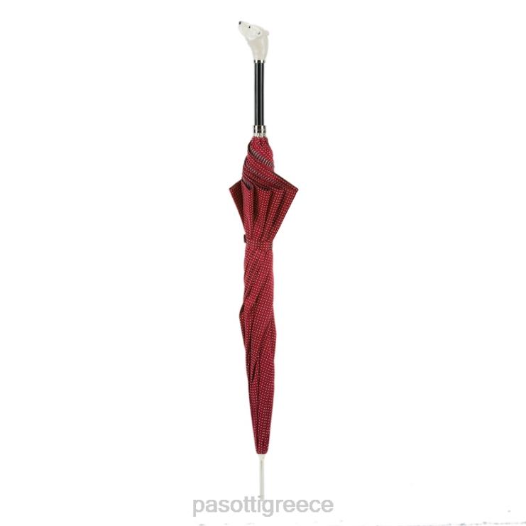 ομπρέλα | PASOTTI 478 pto cn2 k71 - ομπρέλα με εμαγιέ αρκούδα 2N6B849 άνδρες